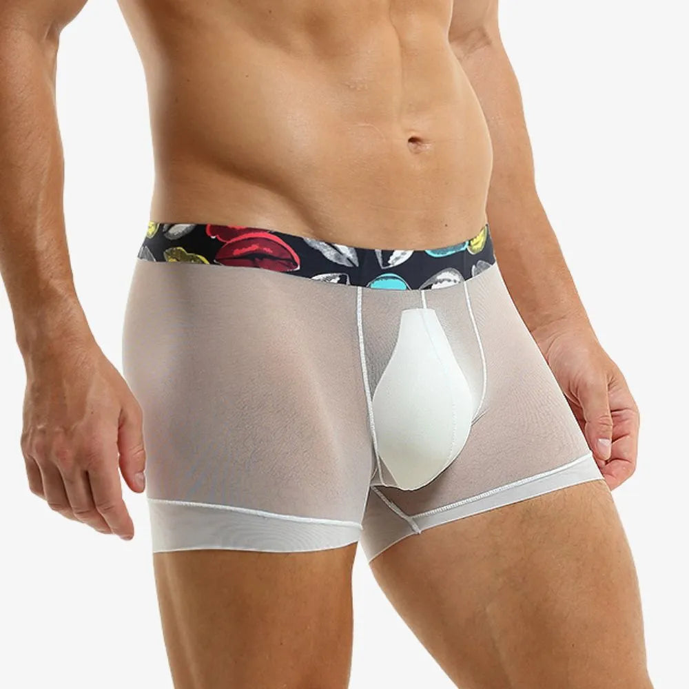 Men's Ultra Thin Ice Silk Mesh Underpants (5-Pack) -JEWYEE 1961