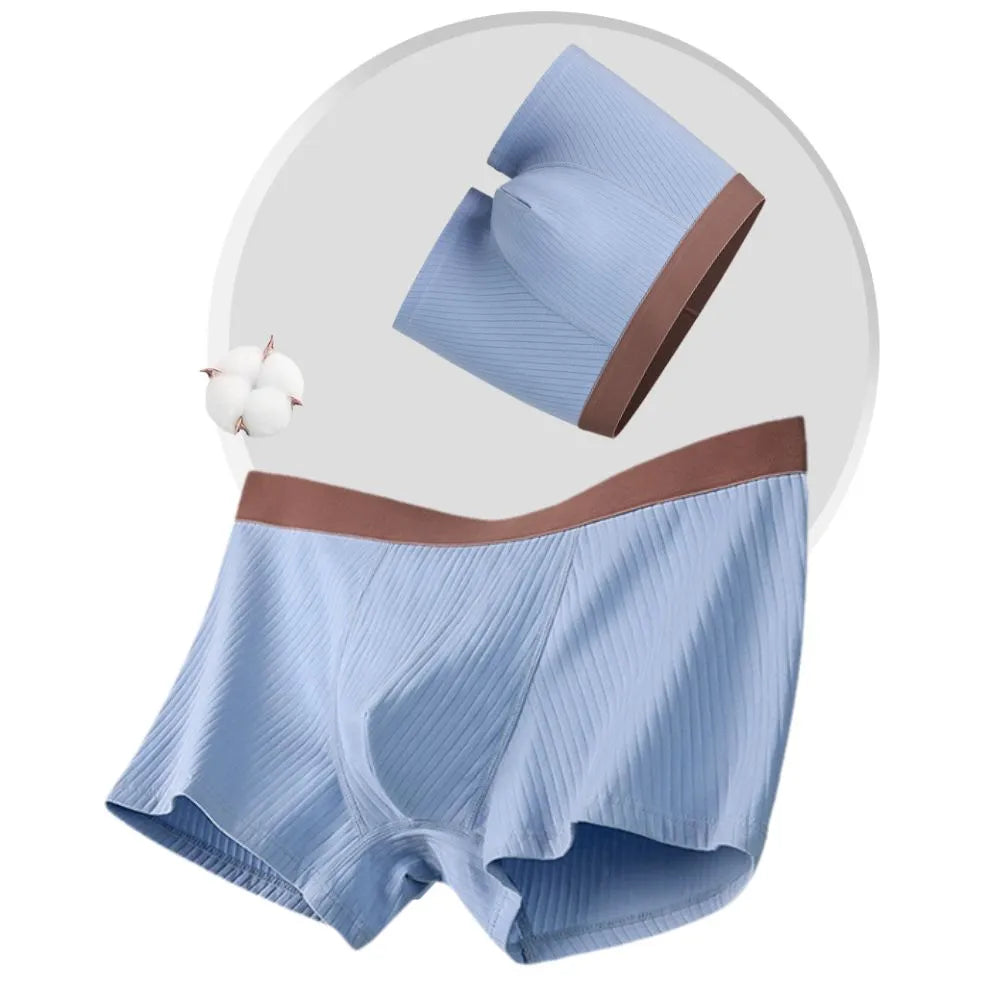 Men's Premium Cotton Ribbed Underpants (4-Pack) -JEWYEE 8893