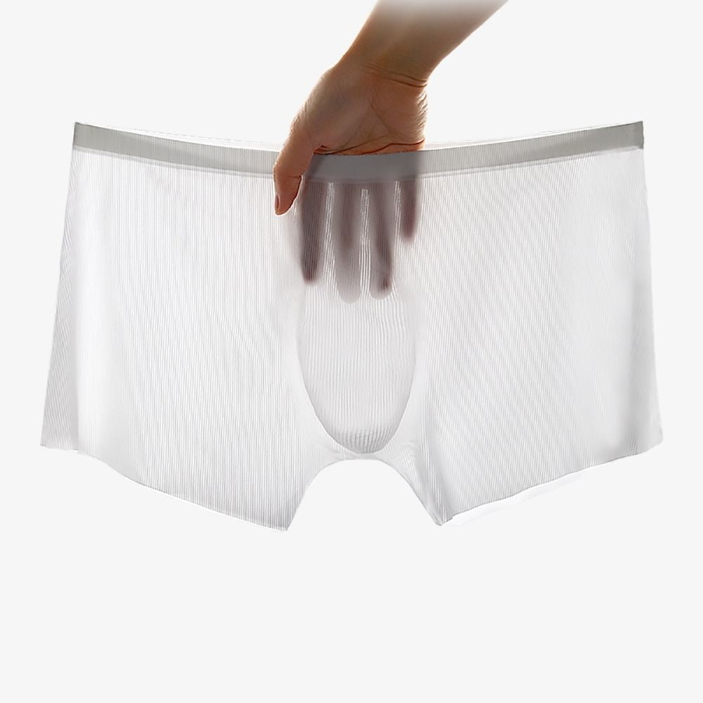 JEWYEE See-Through underwear. Silk feeling. Featherlight. 4-Way stretch. Moisture wicking. Fast Dry. 3D seamless pouch for your member. Low rise. 