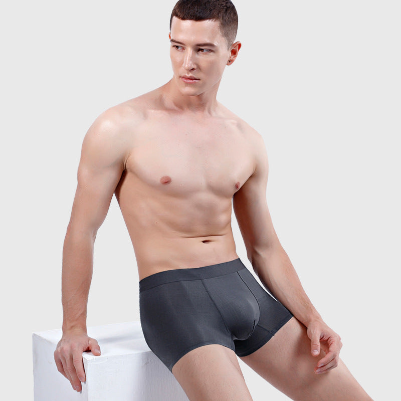 Men's Ultra Thin Ice Silk Seamless Underpants Up To Size XXL (6