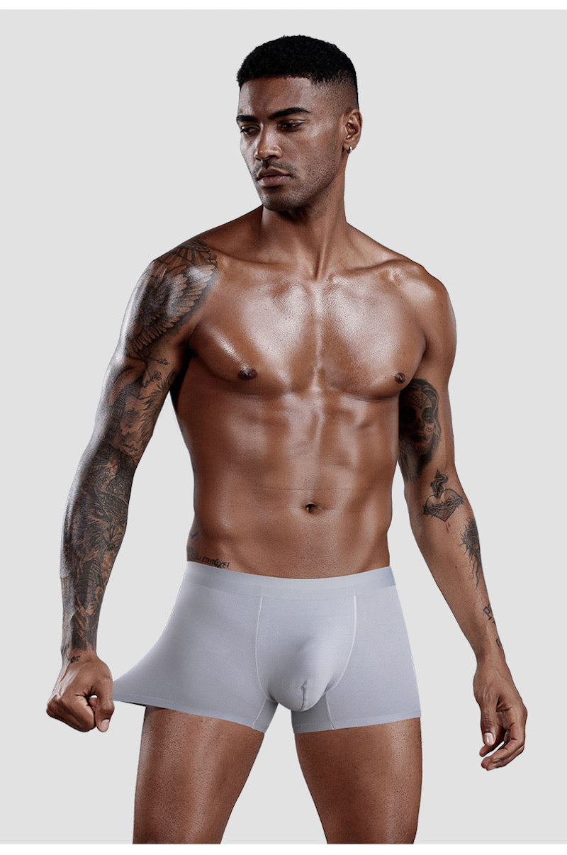 Men's Seamless Ultra Thin Ice Silk Underpants (5-Pack) - JEWYEE